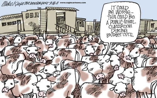 Mr. Fish's Cartoon