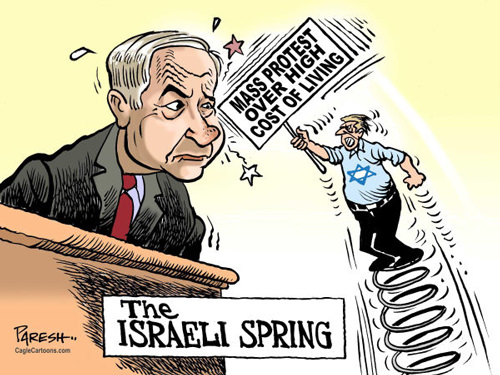 Mr. Fish's Cartoon