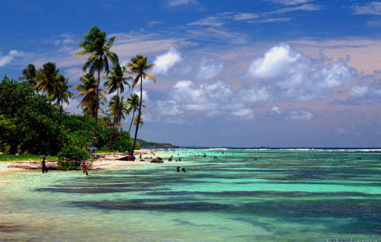 'Paradise Papers' Show Tax Havens Are Central to Western Capitalism