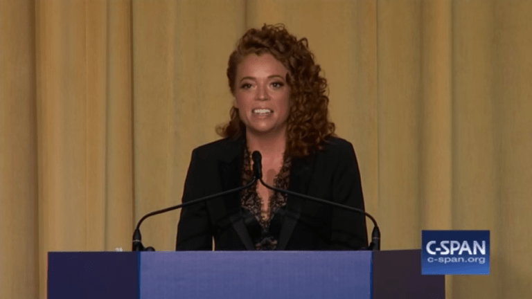 Michelle Wolf Blasts Media for Profiting Off Trump, the 'Monster' It Created (Video)