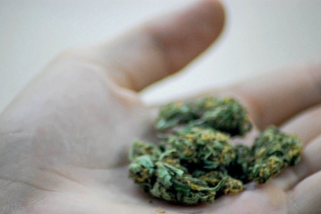 a handful of marijuana