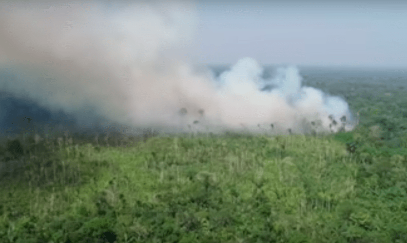 Corporate Media Get the Story Wrong on the Amazon Fires