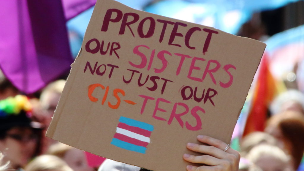 a sign reads 'protect our sisters not just our cis-ters'