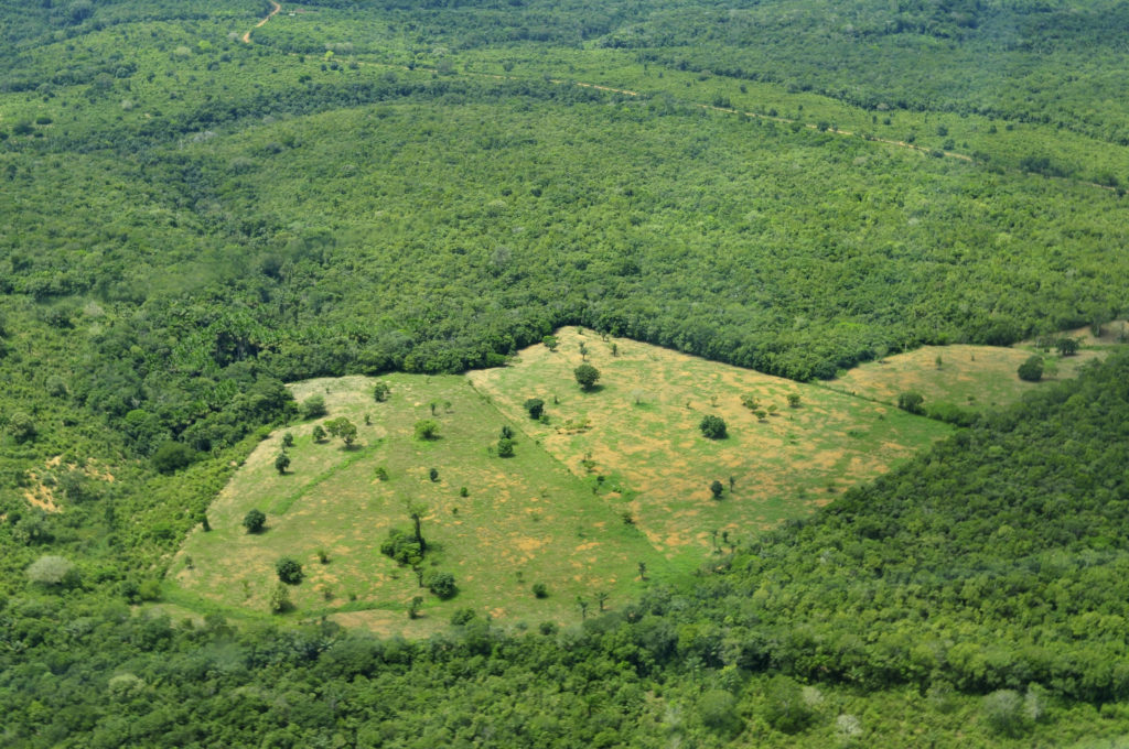 An Aerial view of the Amazon rainforest near Manaus.