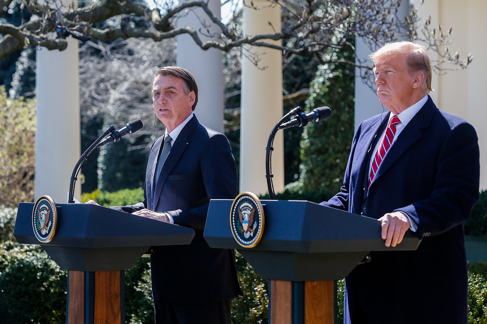Brazilian President Jair Bolsonaro meets with Donald Trump at the White House in 2019.