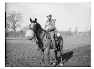 world war one image of soldier on horse with gas masks on both