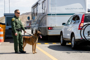 A U.S. Customs and Border Protection agent in Yuma, AZ.