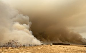 A bush fire in southern Australia.