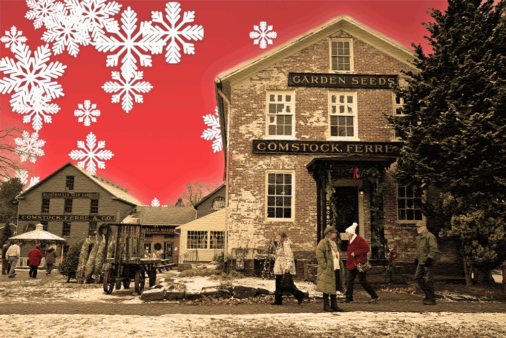 We’re All in the Snowglobe, Now