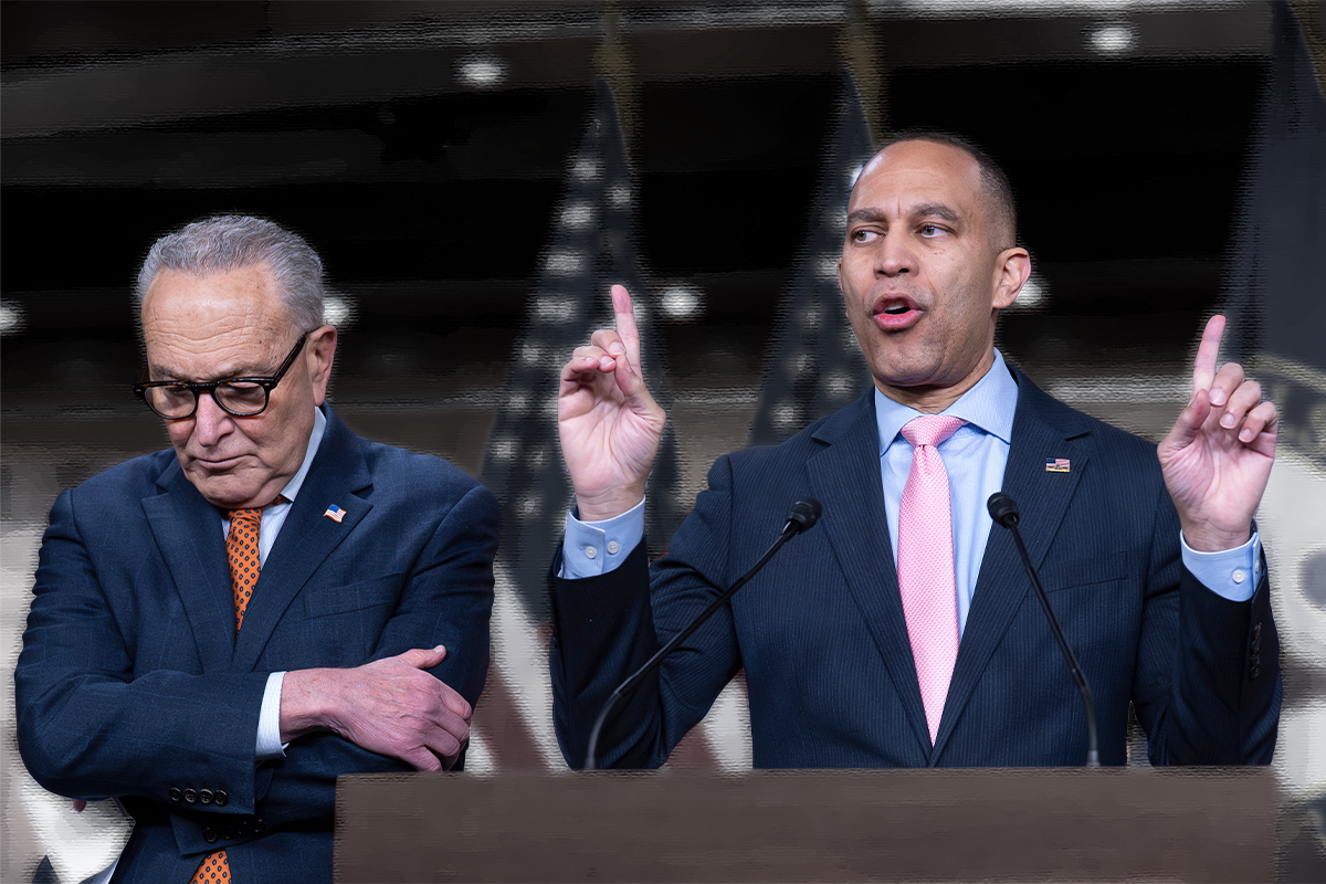 Ending Republican Control Will Require Overcoming the Democratic Leadership