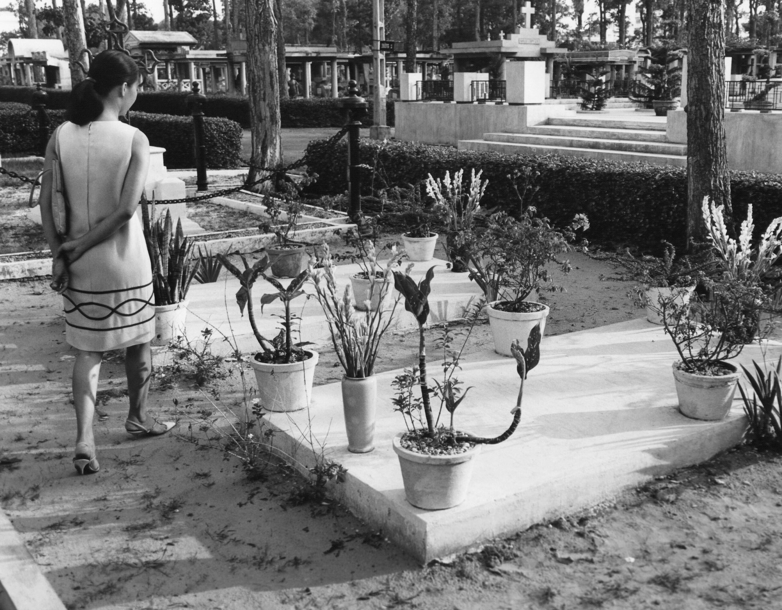 ‘Kennedy’s Coup’ Ignited Regime Change Doom Loop - Truthdig