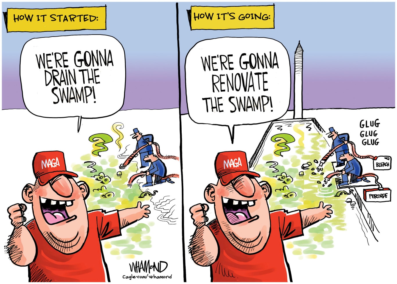 The New Swamp